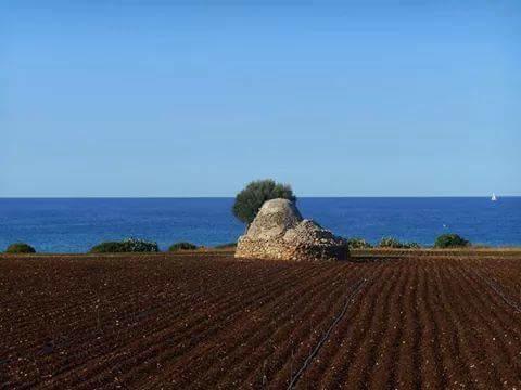 Emidio Hébergement de vacances Salve