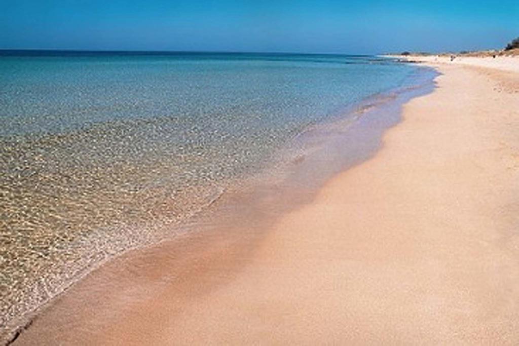 Hébergement de vacances Emidio Salve